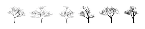 冬季树木收集 轮廓光秃秃的树 冬季树木自然模板 Clipart 矢量说明 — 图库矢量图片
