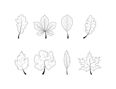 Yaprak çizgisi vektör simgesi. Vektör simgeleri ayarlandı. Vektör illüstrasyonu