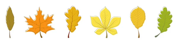 Осенняя Коллекция Листьев Векторные Иконки Осенних Листьев Осенний Лист Листья — стоковый вектор
