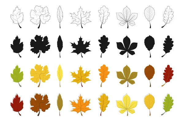 Sonbahar Yaprağı Koleksiyonu Autumn Leaves Vektör Simgeleri Sonbahar Yaprağı Yapraklar — Stok Vektör