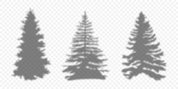 Een Silhouet Kerstboom Schaduwdennenboom Shadow Christmas Trees Verschillende Vorm Vectorillustratie — Stockvector