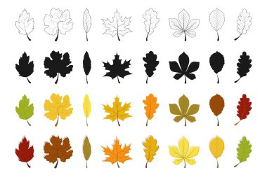 Sonbahar Yaprağı koleksiyonu. Autumn Leaves vektör simgeleri. Sonbahar Yaprağı. Yapraklar. Vektör illüstrasyonu