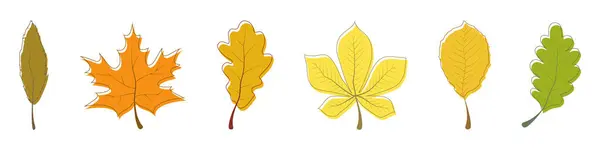 Kolekcja Jesiennych Liści Jesień Liście Wektorowe Ikony Jesienny Liść Odchodzi — Wektor stockowy