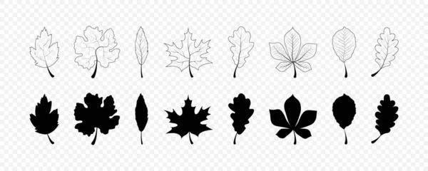 Φθινοπωρινή Συλλογή Φύλλων Φθινόπωρο Αφήνει Διανυσματικά Εικονίδια Φθινοπωρινό Φύλλο Φύλλα — Διανυσματικό Αρχείο