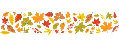 Sonbahar arkaplanı. Sonbahar Yaprakları. Yaprak. Sonbahar Yaprakları süsü. Yaprak, Yaprak, tasarım ögesi