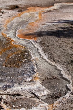 Bisküvi Havzası Yellowstone Milli Parkı'nda. Üst şofben Havzası, Wyoming, Amerika bir parçası termal alanı.