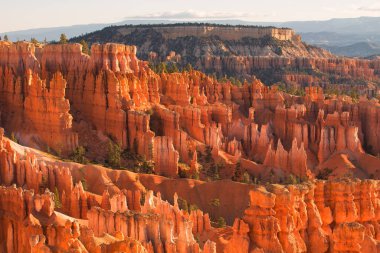 Kırmızı kumtaşı hoodoos Bryce Canyon Milli Parkı'nda Utah, ABD çarpıcı doğal görünümü