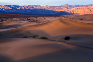 Mesquite gündoğumu, kum tepelerine üzerine kum dalgaları düz dunes, Ölüm Vadisi Milli Parkı, Kaliforniya, ABD.