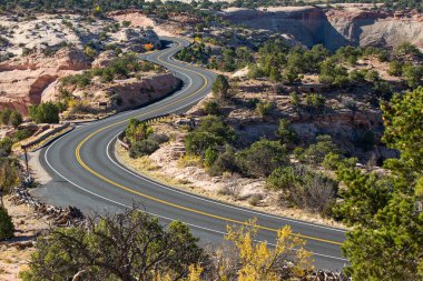 Yol ve ağaçlar Canyonlands Milli Parkı, Utah, ABD