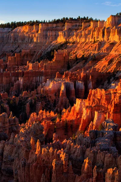 Kırmızı kumtaşı hoodoos Bryce Canyon Milli Parkı'nda Utah, ABD çarpıcı doğal görünümü