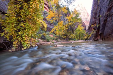 Sonbahar daraltır ve Zion National Park Zion, ABD Virgin River