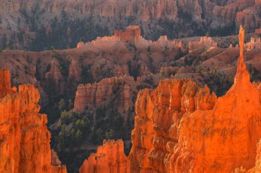 Kırmızı kumtaşı hoodoos Bryce Canyon Milli Parkı'nda Utah, ABD çarpıcı doğal görünümü