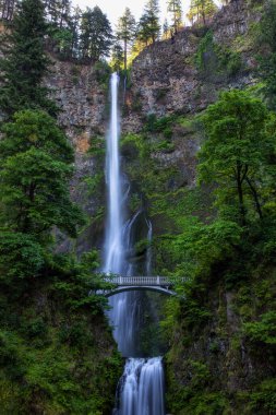 Multnomah Şelalesi, Benson Köprüsü 'nün yanında, ABD' nin kuzeybatısında Portland Oregon yakınlarındaki Columbia Nehri Boğazı 'nda..