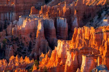 Kırmızı kumtaşı hoodoos Bryce Canyon Milli Parkı'nda Utah, ABD çarpıcı doğal görünümü