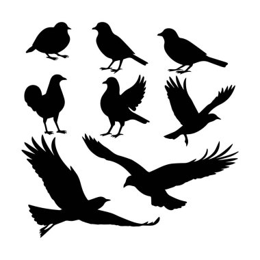 Bu zarif kuş siluetleri koleksiyonunu keşfedin, uçmak ve oturmak da dahil olmak üzere çeşitli pozlar gösterin. Doğa meraklıları için ideal olan bu çok yönlü set, vahşi yaşam ve eğitimle ilgili projeler için tasarımları geliştirebilir.