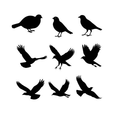 Bu koleksiyonda, uçmak ve oturmak da dahil olmak üzere çeşitli pozlarda farklı türleri gösteren çeşitli kuş siluetleri yer almaktadır. Tasarımlar doğa meraklıları ve grafik tasarımcıları için mükemmel.