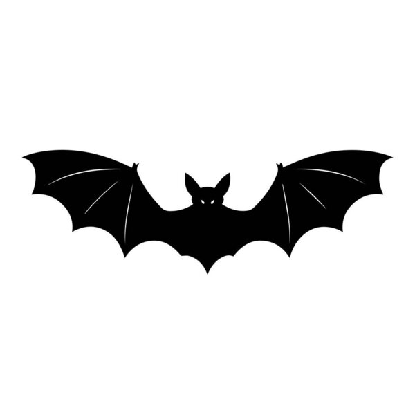 Black bat silhouette illustration graphic