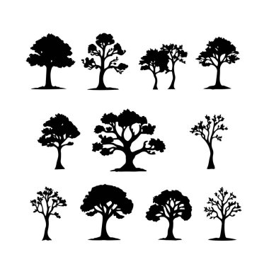 Çeşitli şekillerde on siyah siluet ağacı koleksiyonu
