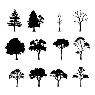 Çeşitli ağaç türlerinden 12 siyah siluet
