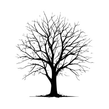 Çıplak yaprak döken ağaç silueti kış görüntüsü.