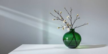 Minimalist bir düzenleme koyu kahverengi dallar üzerinde koyu yeşil cam vazoda narin beyaz çiçekleri içerir. Sahne açık gri bir duvara ayarlanmış ince açık gölgeli.