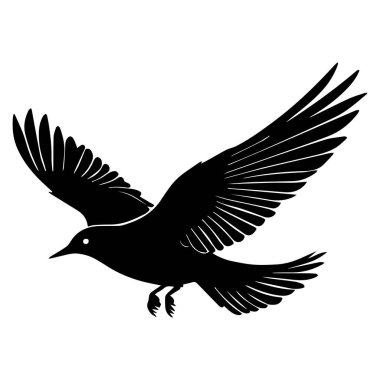 Uçan zarif kanatlı bir kuşun siyah silueti.