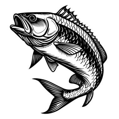 Ayrıntılı pulları ve yüzgeçleri olan sıçrayan bir balığın siyah beyaz çizimi