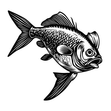Ayrıntılı pulları ve yüzgeçleri olan bir balığın siyah beyaz çizimi