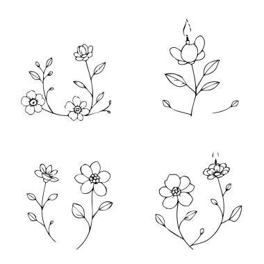 Basit çizgi sanat çiçekli tasarımlar botanik çizimler seti