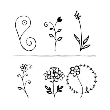 El çizimi çiçek elementleri siyah ve beyaz botanik çizimler oluşturur.