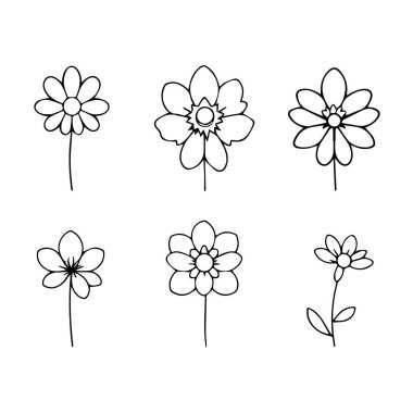 Çeşitli çiçeklerin altı basit çizimi botanik çizimler