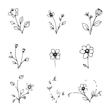 El yapımı basit siyah çizgili sanat çiçekleri ve botanik elementler koleksiyonu