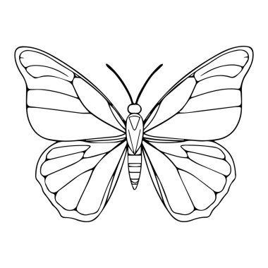 Çizgi sanat kelebeği çizimi siyah ve beyaz
