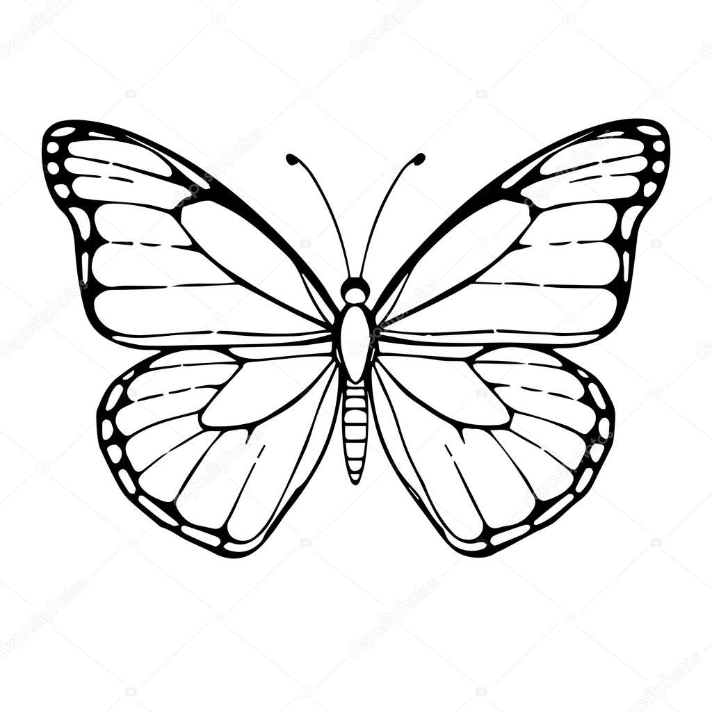 Black and white line art monarch butterfly illustration