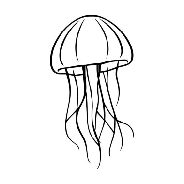 Basit bir deniz anası çizimi.