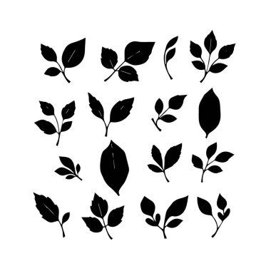 Siyah siluet yaprak ve dal tasarımları koleksiyonu