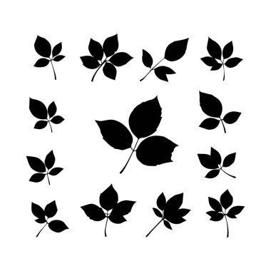 Siyah siluet yaprak çizimleri koleksiyonu