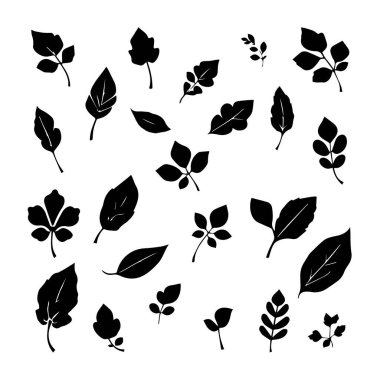 Çeşitli yaprak ve yapraklardan oluşan siyah siluet koleksiyonu