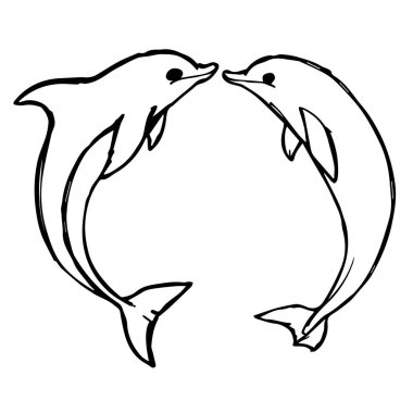 İki yunus basit bir çizgide karşı karşıya.