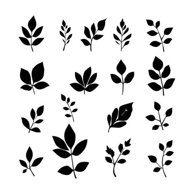 Çeşitli yaprak ve dallardan oluşan basit siyah siluet koleksiyonu
