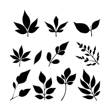 Siyah siluet botanik yaprak ve dal çizimleri koleksiyonu