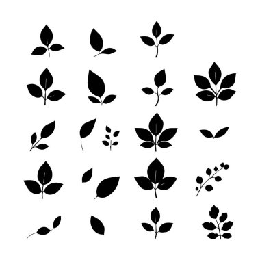 Siyah siluet yaprak ve dal simgeleri koleksiyonu