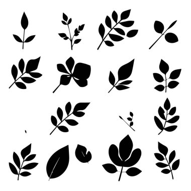 Siyah siluet yaprakları ve dallar koleksiyonu