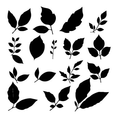 Siyah siluet yaprakları ve dallar koleksiyonu