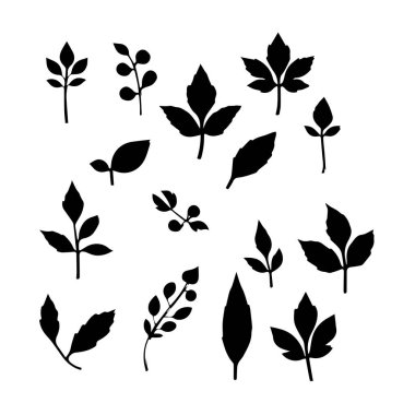 Siyah siluet botanik yaprak ve dal çizimleri koleksiyonu