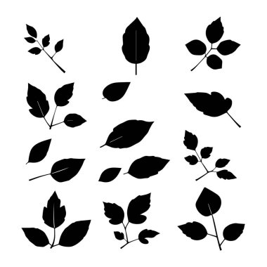 Çeşitli yaprak ve dallardan oluşan siyah siluet koleksiyonu
