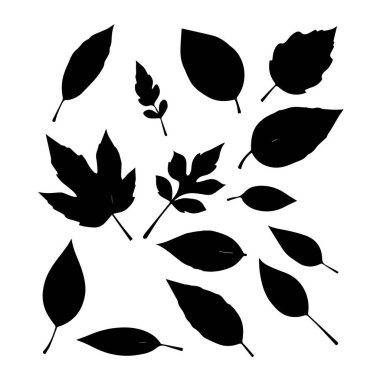 Çeşitli yapraklardan siyah siluet koleksiyonu