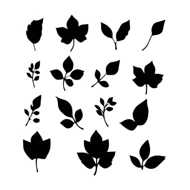 16 siyah siluet yaprak ve filiz koleksiyonu