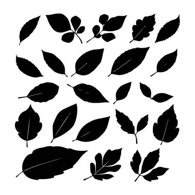 Çeşitli yapraklardan siyah siluet koleksiyonu