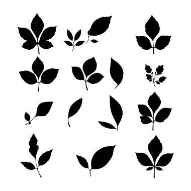 Tasarım için siyah siluet yaprak simgeleri koleksiyonu